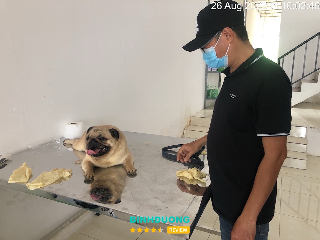 Không gian khám tại Songiavet