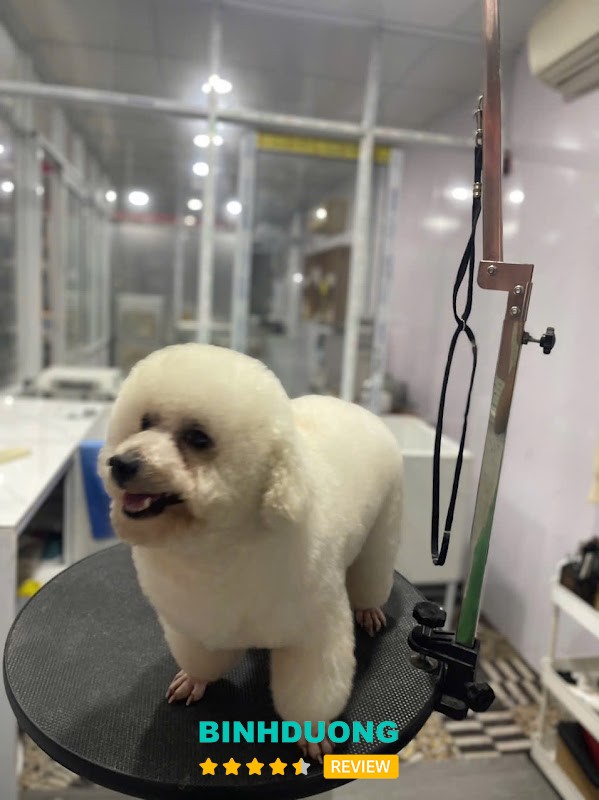 Phòng Khám Thú Y Nâu Pet-Bình Dương tại Hòa Lợi