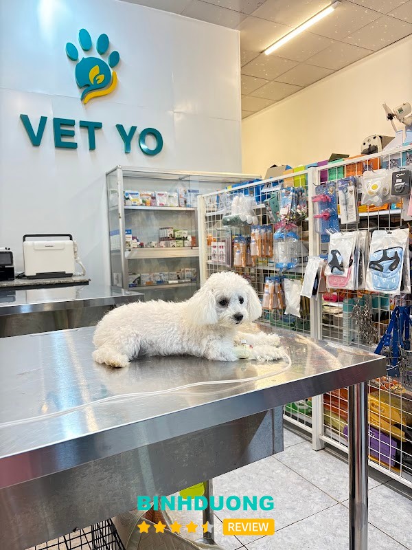 Phòng Khám Thú Y Vet Yo – hình ảnh 2