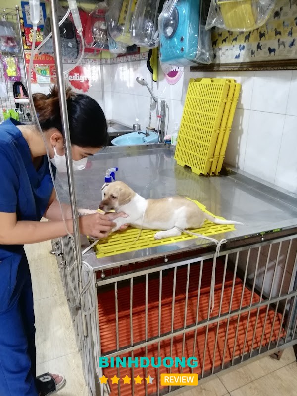 Thú Y Kiều My Tân Uyên