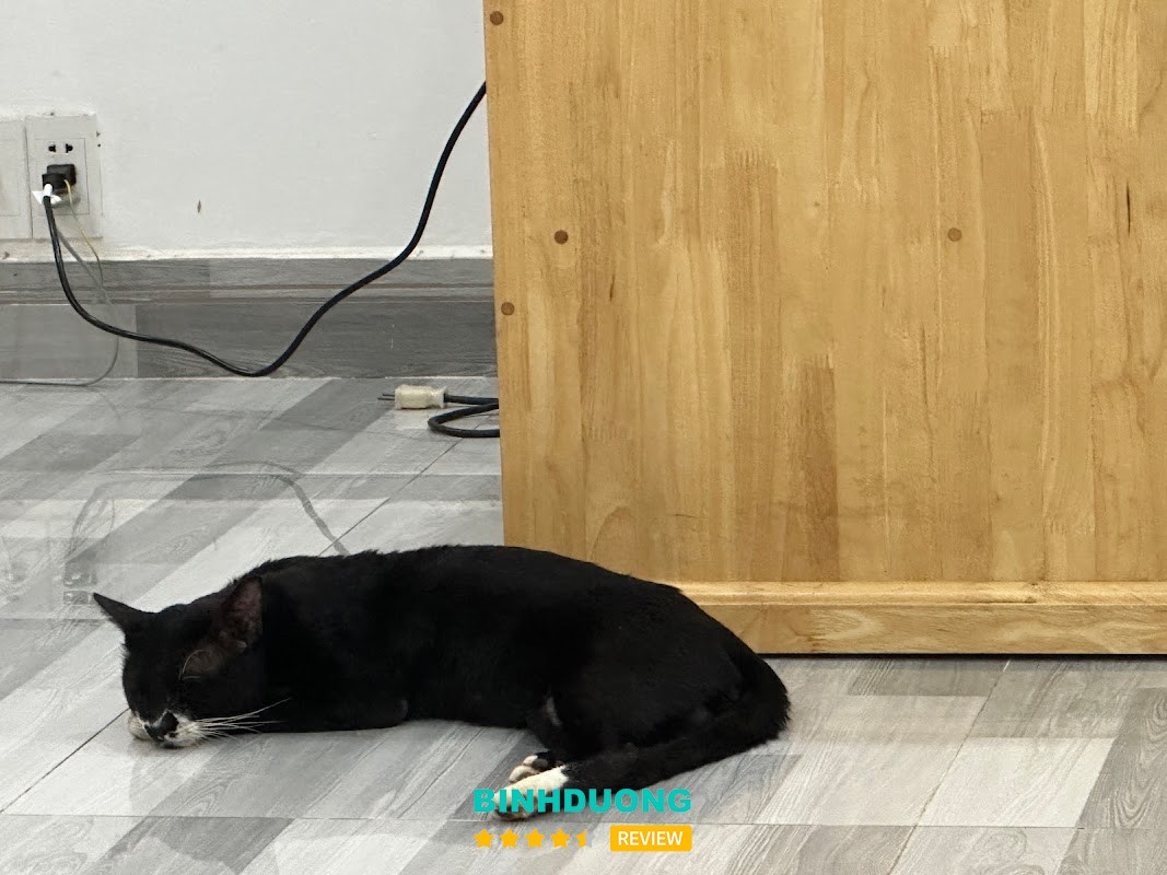 Phòng khám Thú Y Happy Pet Tân Uyên