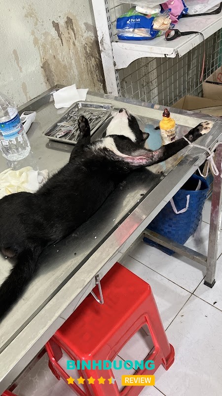 Phòng khám Thú Y Happy Pet – hình ảnh 2