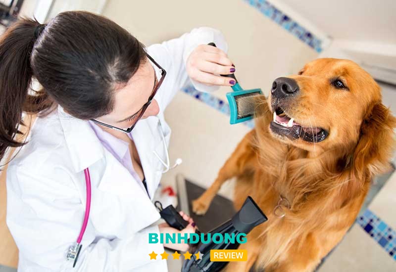 Phòng khám Thú Y Happy Pet – hình ảnh 3