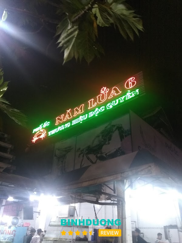 Năm Lửa 6 hình ảnh 3