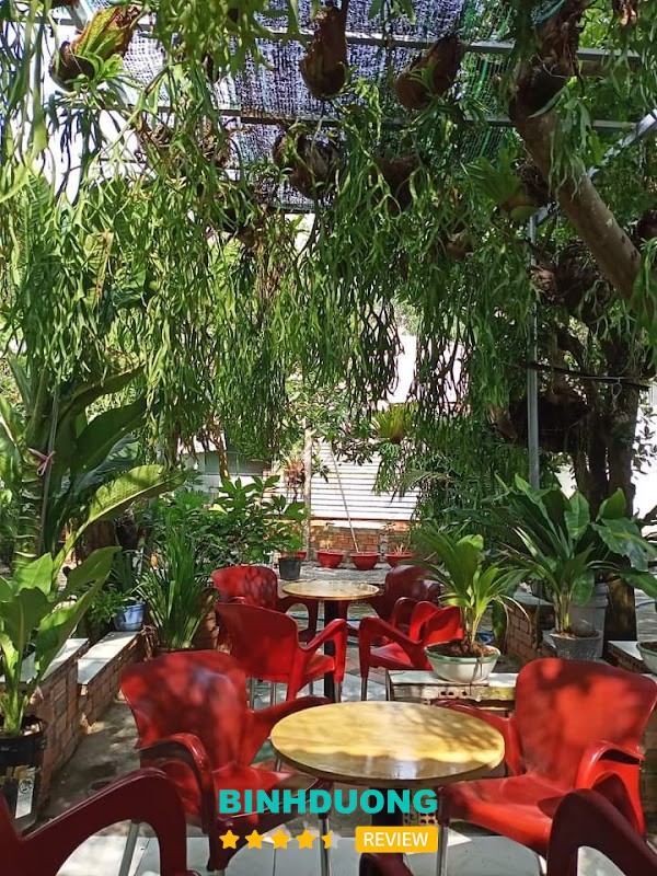 Quán Ăn Quỳnh Anh Phú Giáo
